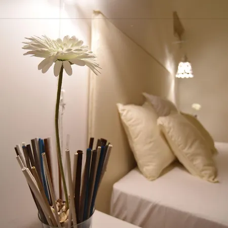 Cadelli Luxury & 레체